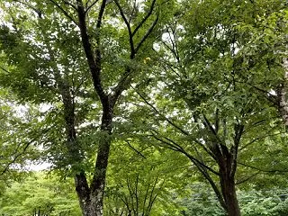 海と緑に囲まれて暮らしたい