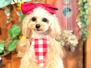 3人でのお出かけ、最後の日♡ 〜2026…