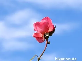 秋の空