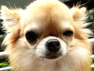 少し残念なお散歩
