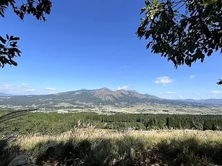 今日はYouTubeライブやりますのと、…