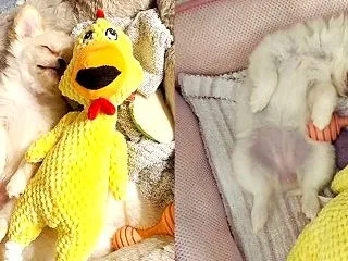 お便り^^
