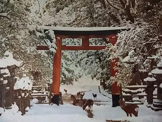 瓦は何を物語る