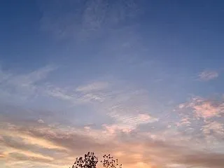 晴れみたい～♡ + 予防接種