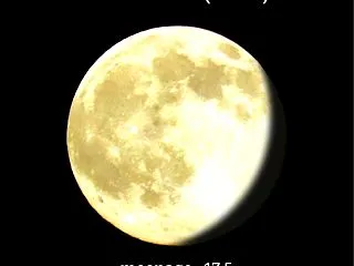 2026年10月28日のメッセージ