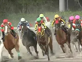 マイルグランプリ ◎リコースパロー