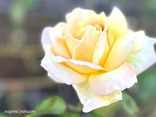 私のバロメーター～靴磨き