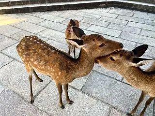 主治医の先生の言葉♪