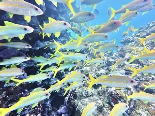 地形が変わってる
