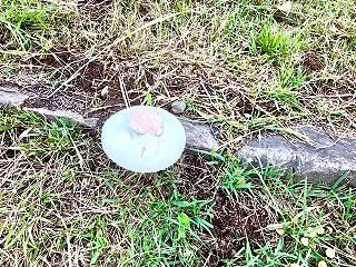 多摩ニュータウン散策 26.09.12 …