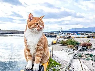 2026年の秋旅は道南へ☆秋から真冬まで…