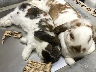 ハロウィンの予行練習＆みんなで美術館へ行…