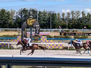 金沢競馬場に行ってきた！パドックで競走馬…