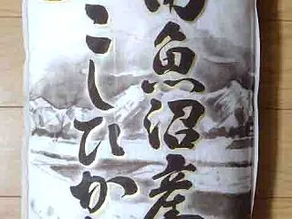10月の株主優待権利確定銘柄＆高松コンス…