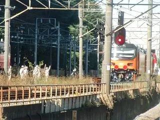 強風の中、台湾機関車甲種、東芝工場から手…