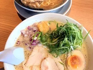 【路線の違う期間限定！鶏白湯そば】函館 …