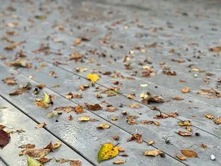 寒い1日でした