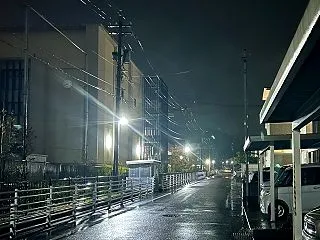 お歳は14。ポメプーのモカちゃんが虹の橋…