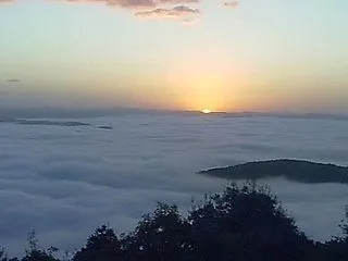 今日も美しい霧の海