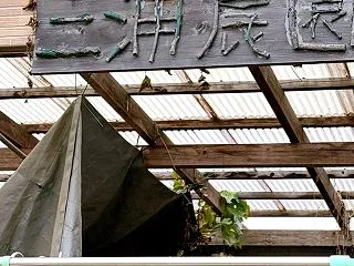 宮城・三浦農園のセリ