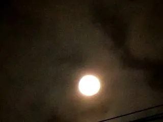 事件発生しかし一件落着