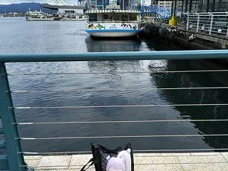 イマジナリードーターズと行く函館（その４…