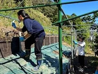 青空きもちいい～！目に光で朝起きラクラク…