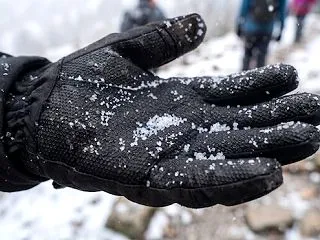 一日中あられと雪の猛吹雪、職場で猫発見
