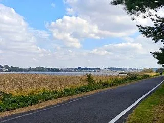平将門王城の地と十兵衛城
