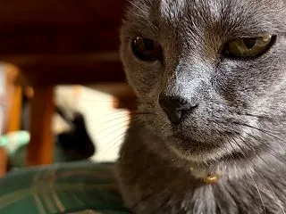 ＾＾うっちゃん☆