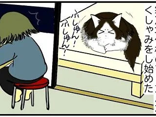 【猫との暮らし】省エネより節約より猫様が…