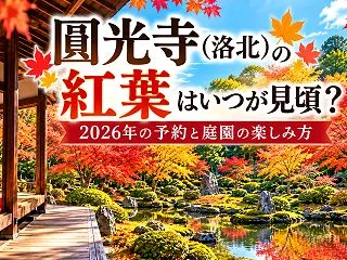 圓光寺（洛北）の紅葉はいつが見頃？202…
