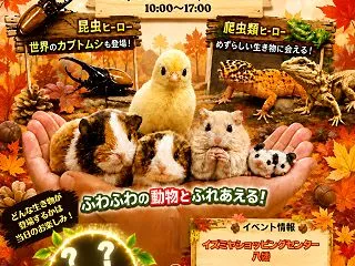 珍しい生き物まで全部さわれる！シークレッ…