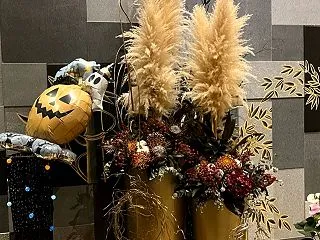 沖縄との気温差にビックリ！京都出張ランで…