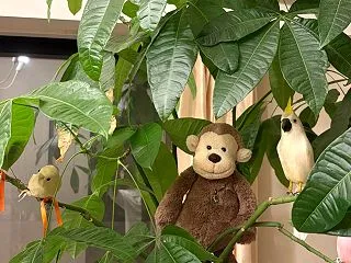 腸内環境と、脳内環境は、リンクする