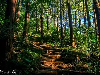 久々の多峯主山
