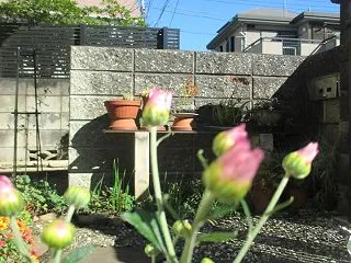 冬の足音