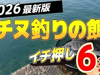 【2026年版】チヌ釣りの餌おすすめ人気…