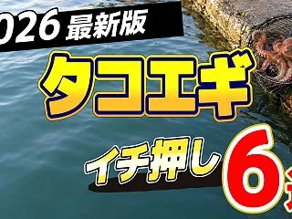 【2026年版】タコエギおすすめ人気ラン…