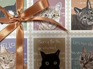 猫の箱が可愛いケーキ屋さん