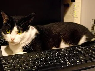 すっかり涼しくなりました