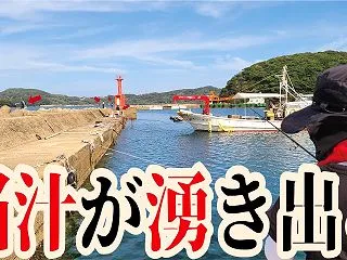 漁港で３００秒数えるだけ夥しい数の高級魚…
