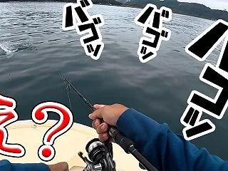台風前日！巨大魚がボコボコに沸き出たんで…