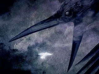 NETHERWORD / INSOMNI…