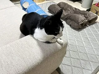 待っていました