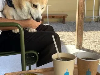 南禅寺すぐ：ブルーボトルコーヒー京都カフ…