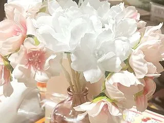 【桜の香りで執筆がはかどる？三代目の書く…