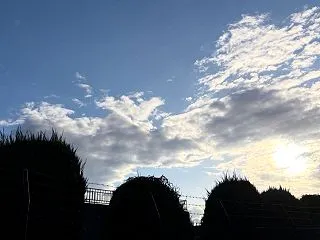 マンツーマンでベビーサイン体験会やりまし…