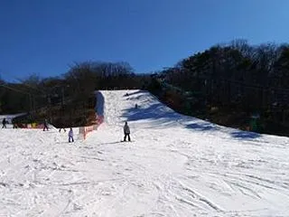 軽井沢のチケット