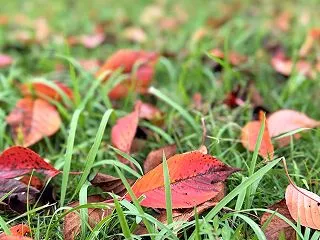 プライベートにも仕事にも、一番大事なのは…